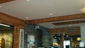 松身功法视频,轻松入门，体验身心愉悦的养生之道